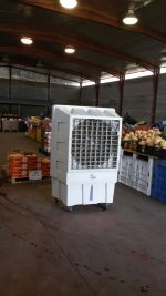 מצנן אוויר תעשייתי בריזה B230 ג'מבו BRIZA מצנן אוויר תעשייתי מצנן אוויר תעשייתי בריזה B230 ג'מבו BRIZA | אבי שושן החוויה אבי שושן החוויה